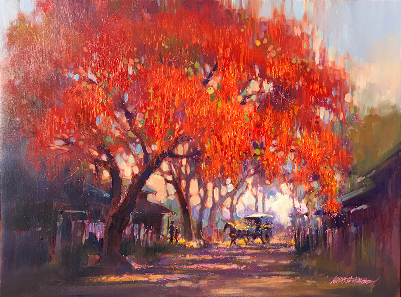 Royal Poinciana