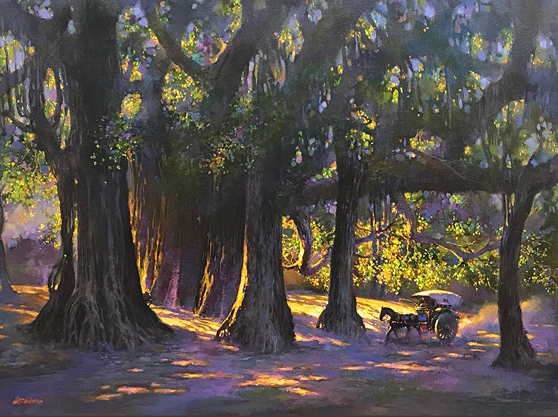 Dreamy Forest
