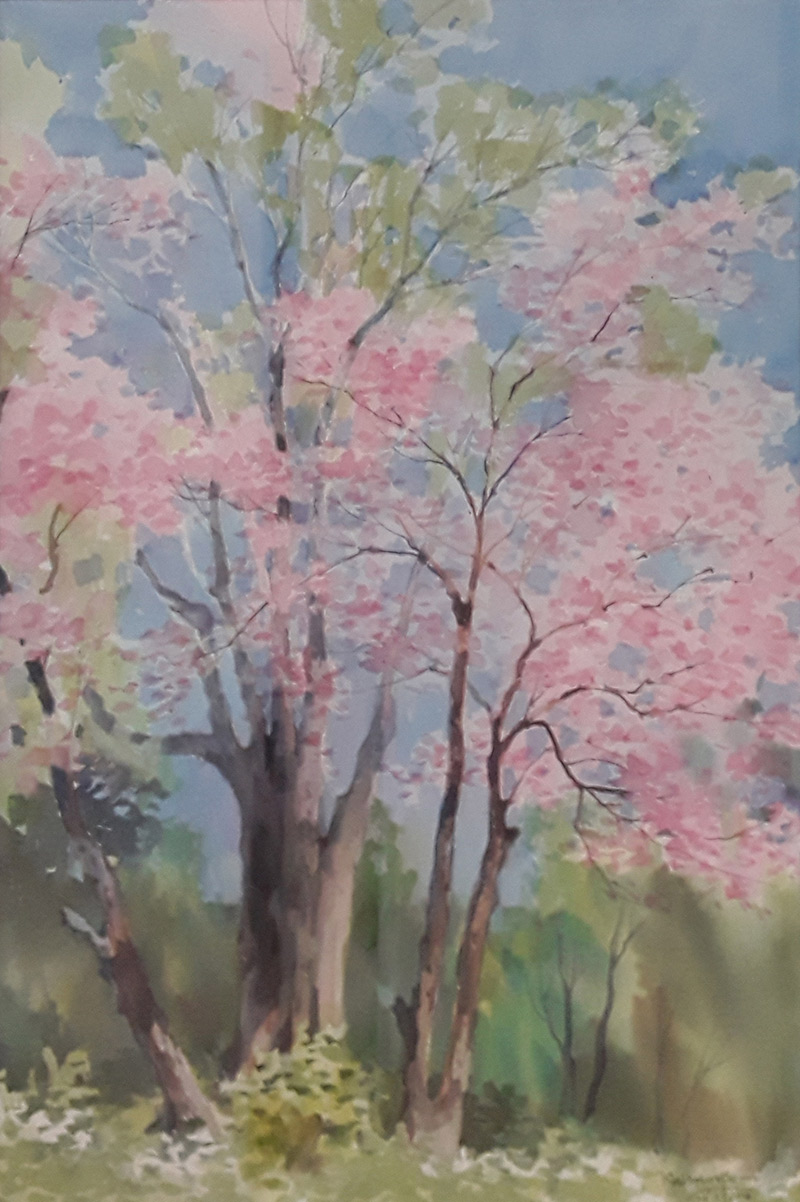 Cherry Dream 01