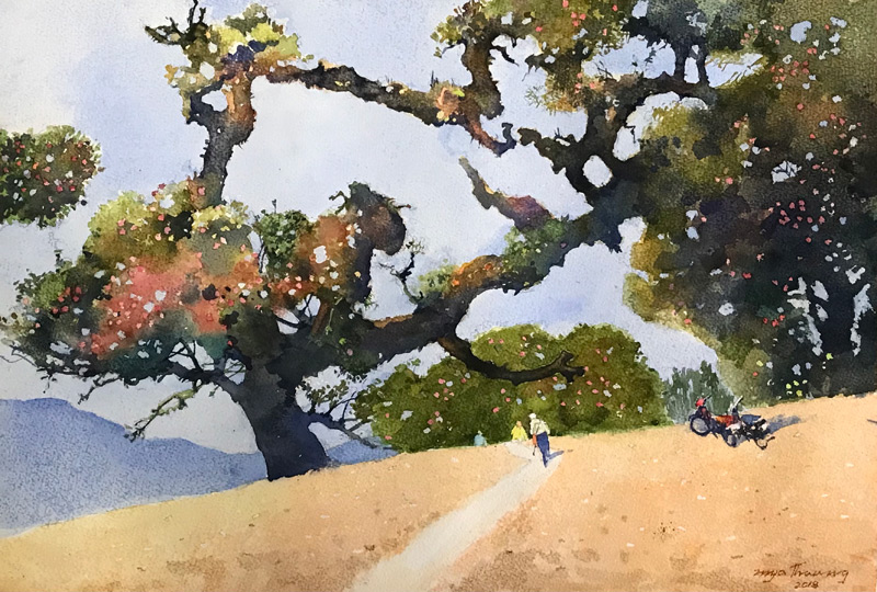 Summer in Chin Hill